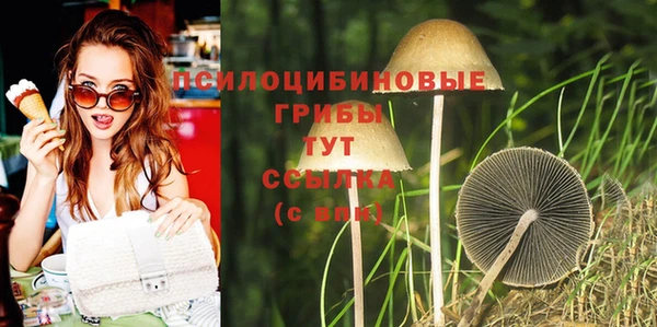 каннабис Баксан