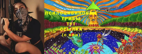 СК Балахна