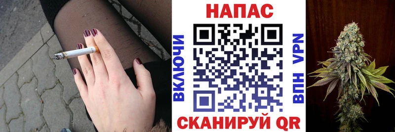 продажа наркотиков  Светлоград  Бошки марихуана индика 